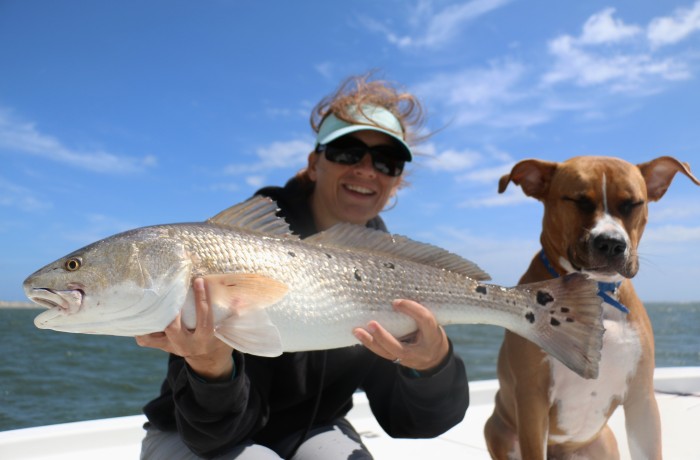 My dog Ruger looks unimpressed