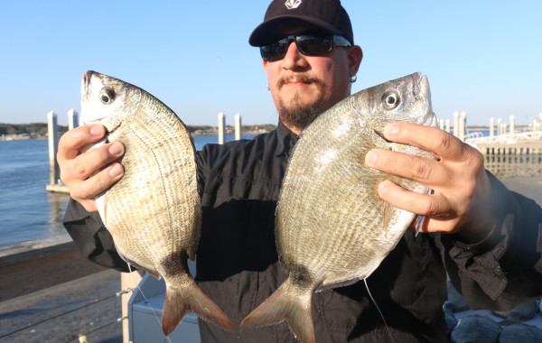 Timmy with a pair of monster Ring Tails