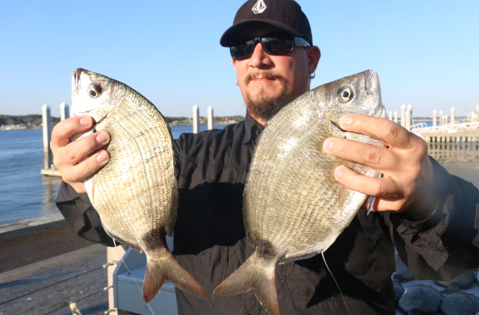 Timmy with a pair of monster Ring Tails
