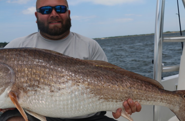 40 inch club plus 4 additional inches