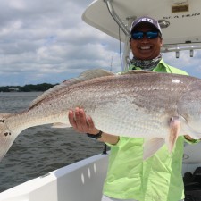 Hows this for a bruiser Bull Red?