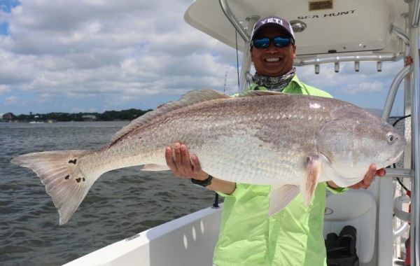 Hows this for a bruiser Bull Red?