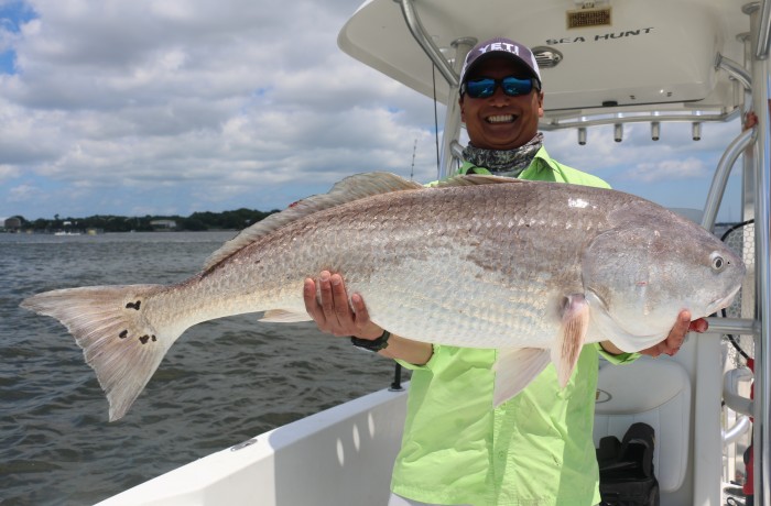 Hows this for a bruiser Bull Red?