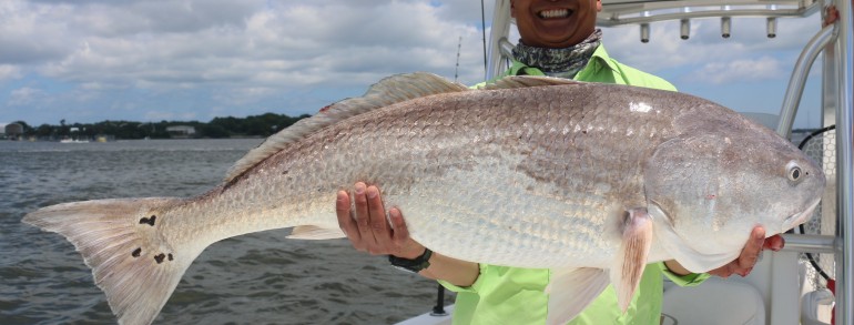 Hows this for a bruiser Bull Red?