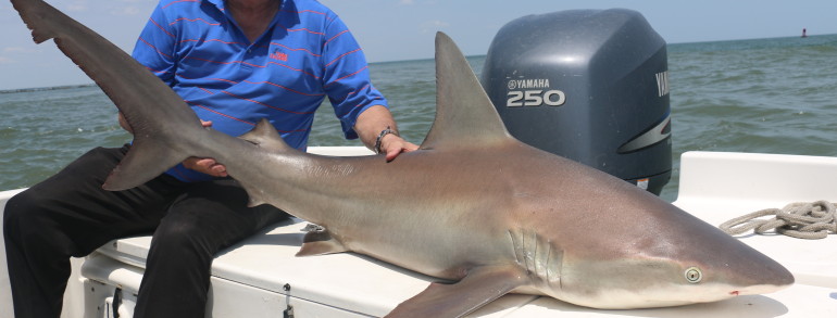 Jaws on deck