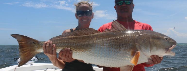 Monster Bull Red
