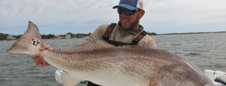 Wess Reeder with a beast of a Bull Red