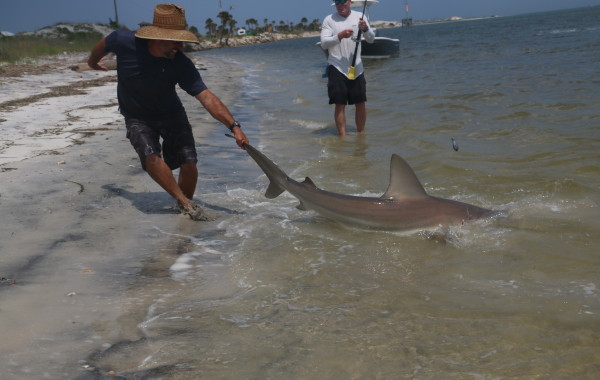 Scott Hallet with a monster by the tail