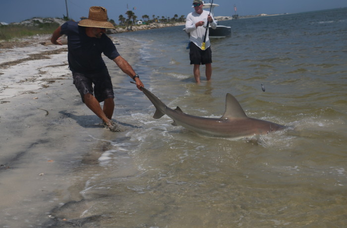 Scott Hallet with a monster by the tail