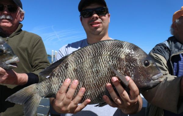 two 10 pounders and a 9 pounder