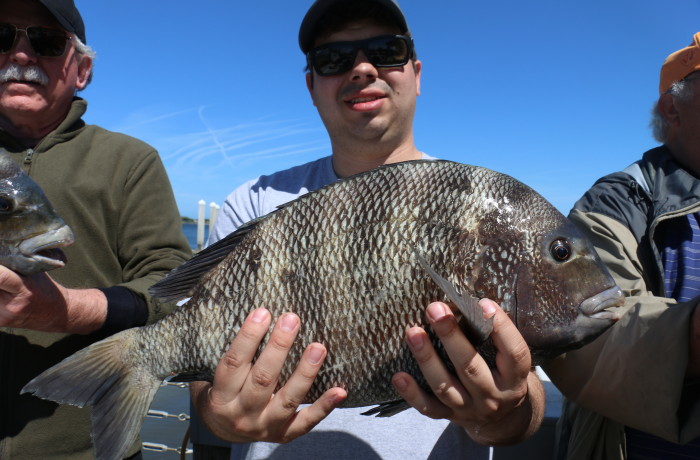 two 10 pounders and a 9 pounder