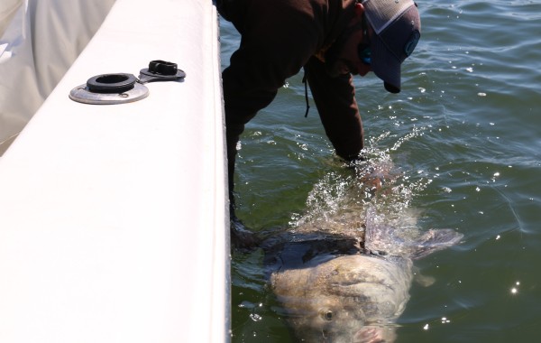 Jonathan Clark releasing a giant Slimeball