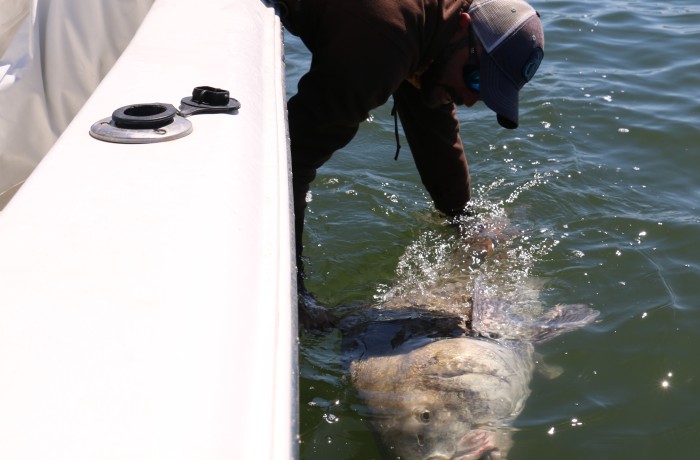 Jonathan Clark releasing a giant Slimeball