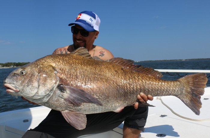 Huge for a River Drum