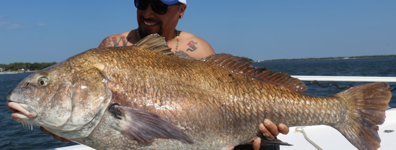 Huge for a River Drum