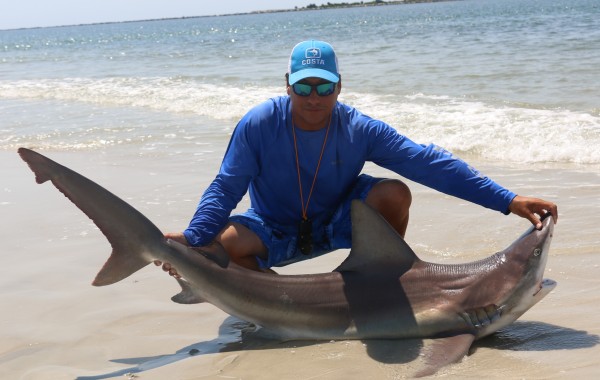 Another apex predator on sand