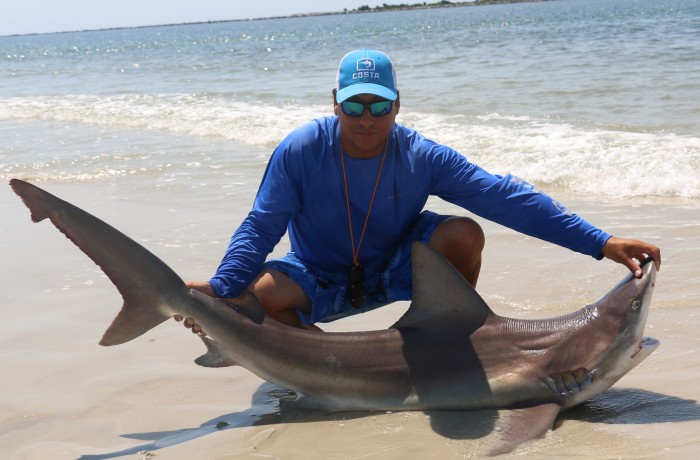 Another apex predator on sand