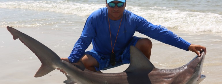 Another apex predator on sand