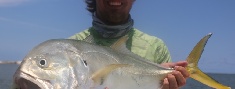 A bit of fun with the Canal Tuna