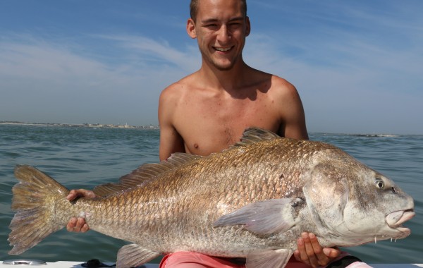 Monster Black Drum