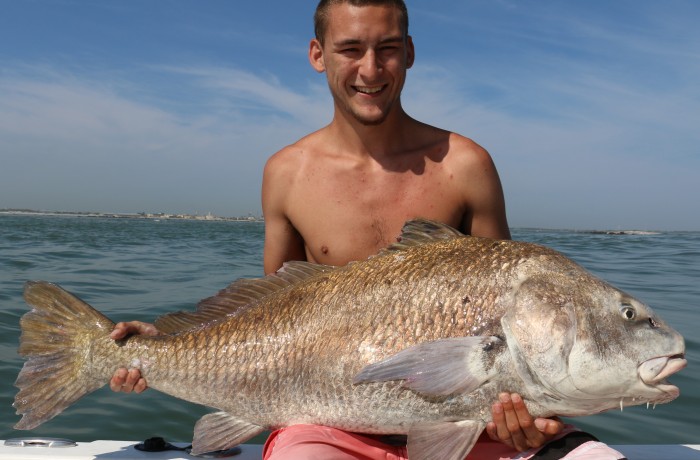 Monster Black Drum