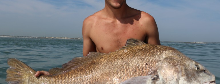 Monster Black Drum