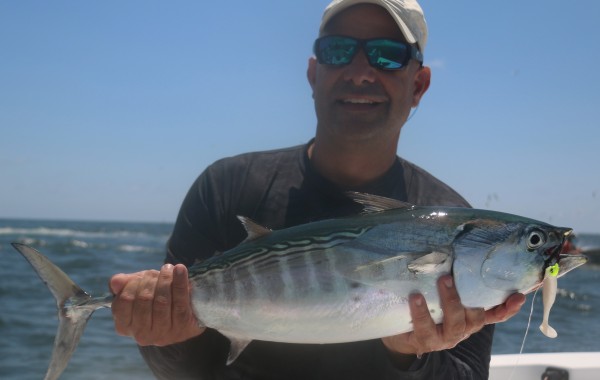 A large Bonita behind the shrimp boats