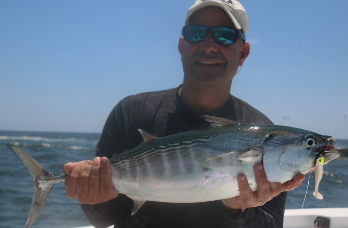 A large Bonita behind the shrimp boats