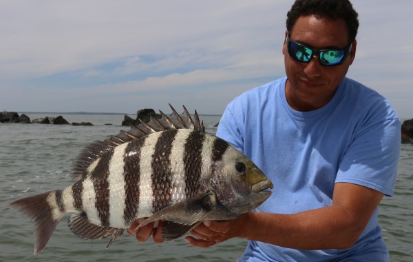 The captain with a solid 8 pounder