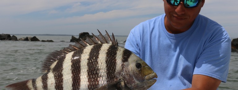 The captain with a solid 8 pounder