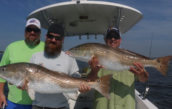 The result of a double up