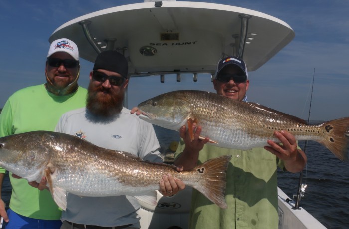 The result of a double up