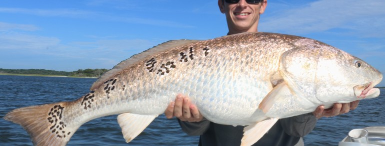 Miles with a River Leopard