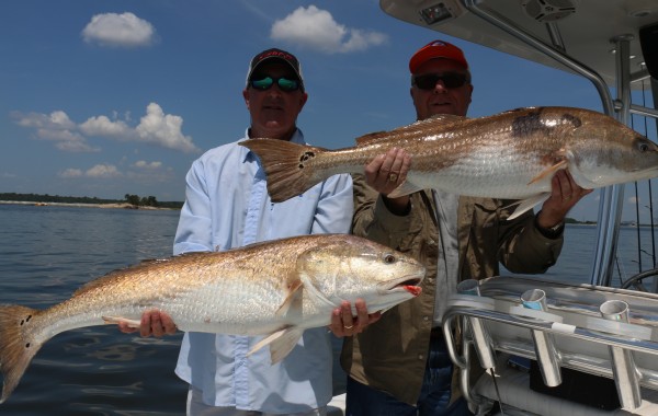 One of many double ups