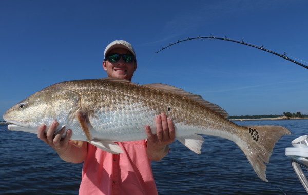 Parker Dance, grandson to the legendary Bill Dance with a Giant Bull
