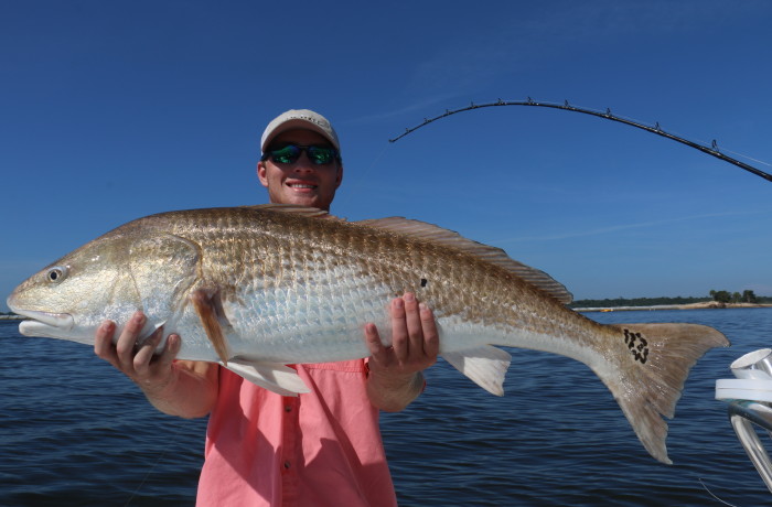 Parker Dance, grandson to the legendary Bill Dance with a Giant Bull