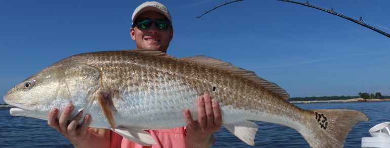 Parker Dance, grandson to the legendary Bill Dance with a Giant Bull