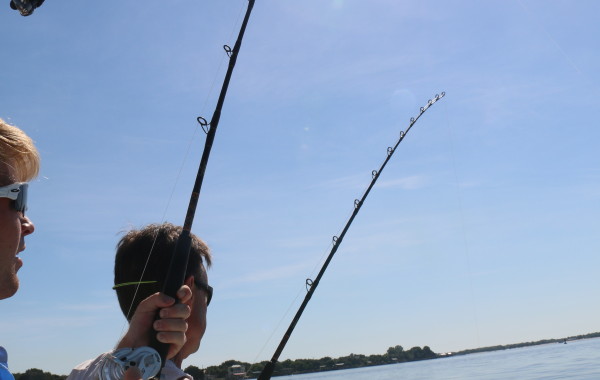 The Dance family with a bit of Double Trouble