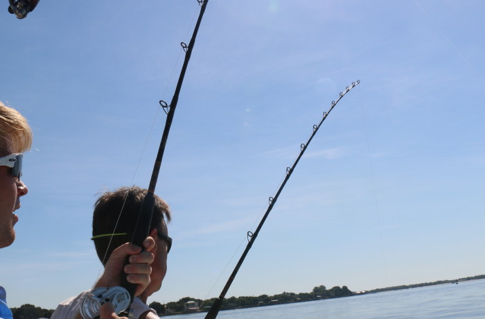 The Dance family with a bit of Double Trouble