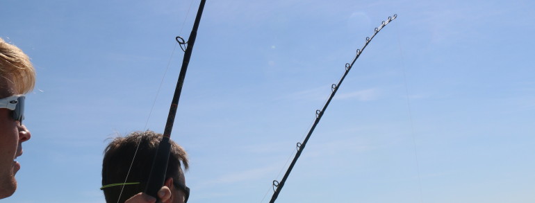 The Dance family with a bit of Double Trouble