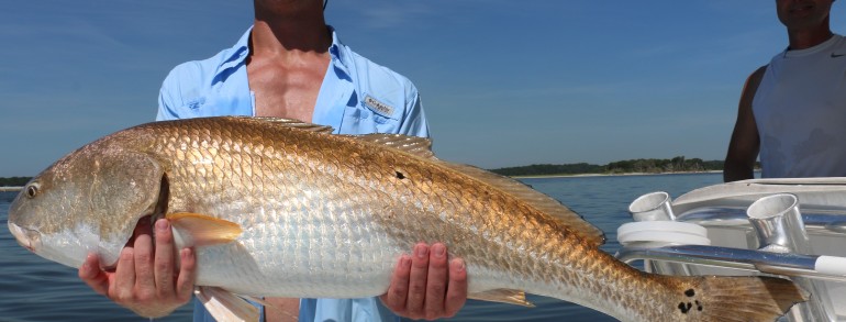 Bill dance had so much fun he sent his son and grandsons down for a few