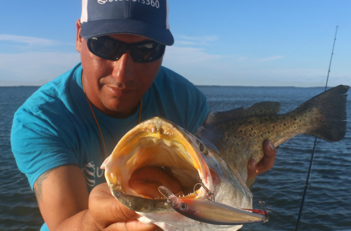 The mouth of a giant Gator Trout