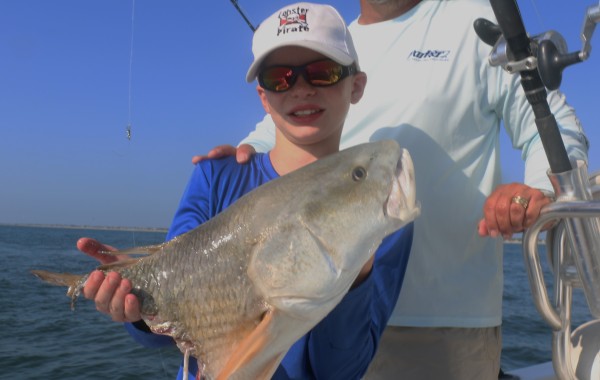 The tax man paid us a visit