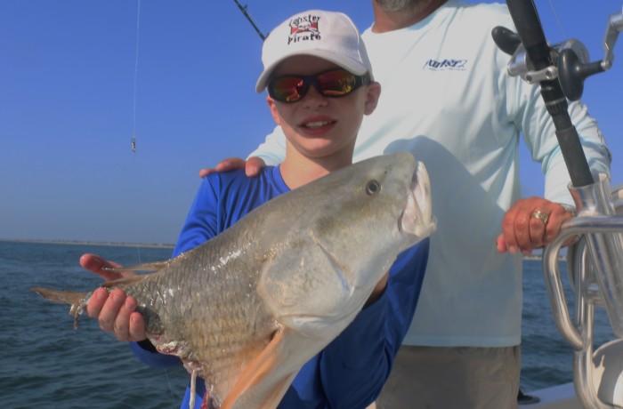 The tax man paid us a visit