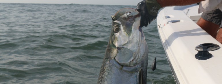 Jason with a 60 pound Mayport Inlet Tarpon