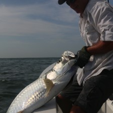 Jason with an 80 pound Tarpon