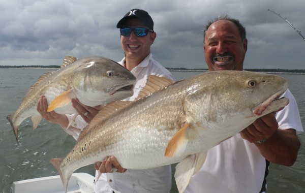 Pair of giant River Donkeys