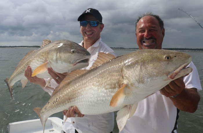 Pair of giant River Donkeys