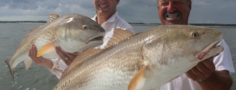 Pair of giant River Donkeys