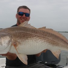 Wess with a fat Bull Red
